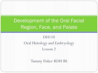 Development of the Oral Facial Region, Face, and Palate