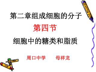 第四节