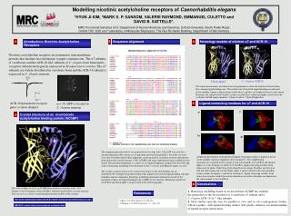 Modelling nicotinic acetylcholine receptors of Caenorhabditis elegans