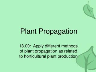 Plant Propagation