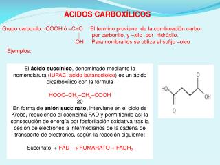 ÁCIDOS CARBOXÍLICOS