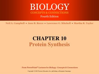CHAPTER 10 Protein Synthesis
