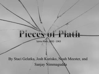 Pieces of Plath