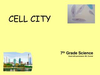 CELL CITY