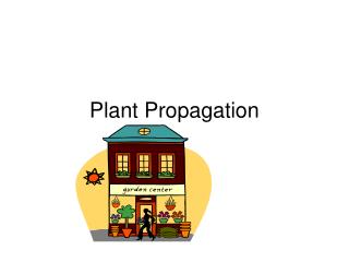 Plant Propagation