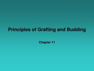 Principles of Grafting and Budding