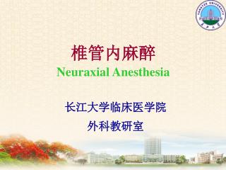 椎管内麻醉 Neuraxial Anesthesia