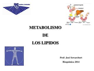 METABOLISMO DE LOS LIPIDOS