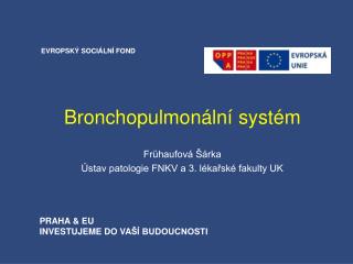 Bronchopulmonální systém Frühaufová Šárka Ústav patologie FNKV a 3. lékařské fakulty UK
