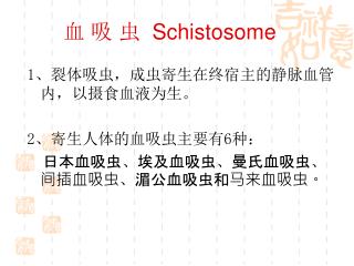 血 吸 虫 Schistosome