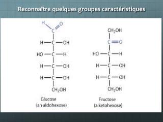 Reconnaître quelques groupes caractéristiques