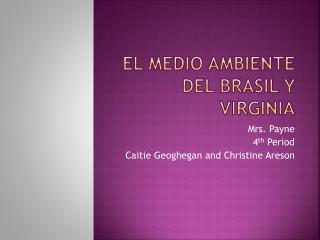 El Medio Ambiente del Brasil y Virginia