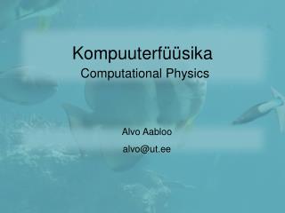 Kompuuterf üüsika