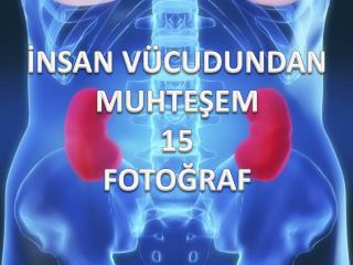 İNSAN VÜCUDUNDAN MUHTEŞEM 15 FOTOĞRAF