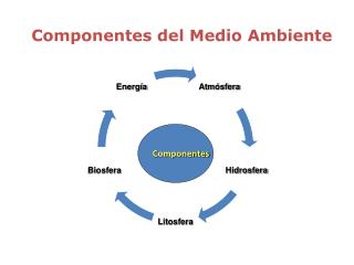 Componentes del Medio Ambiente