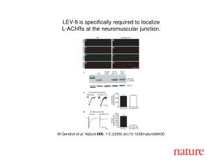 M Gendrel et al. Nature 000 , 1 - 5 (2009) doi:10.1038/nature08 430