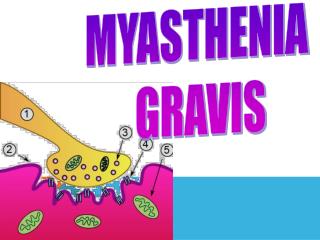 MYASTHENIA GRAVIS