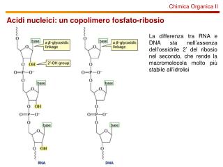 Chimica Organica II