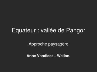Equateur : vallée de Pangor
