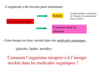 L’organisme a des besoins pour fonctionner :