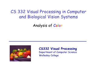 CS 332 Visual Processing in Computer and Biological Vision Systems