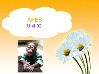 APES