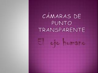 Cámaras de punto transparente