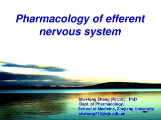 Pharmacology of efferent nervous system