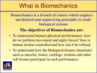 What is Biomechanics