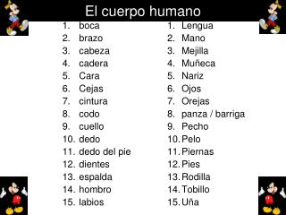 El cuerpo humano
