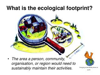 What is the ecological footprint?