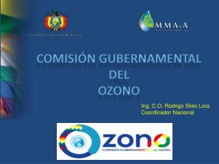 COMISIÓN GUBERNAMENTAL DEL OZONO