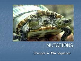 MUTATIONS