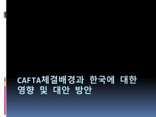 CAFTA 체결배경과 한국에 대한 영향 및 대안 방안