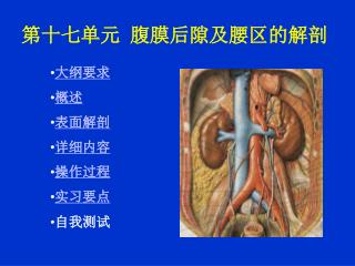 大纲要求 概述 表面解剖 详细内容 操作过程 实习要点 自我测试