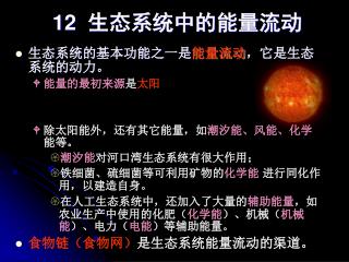 12 生态系统中的能量流动