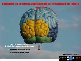 Recherche sur le cerveau, apprentissages et acquisition de la lecture
