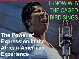 I KNOW WHY THE CAGED BIRD SINGS