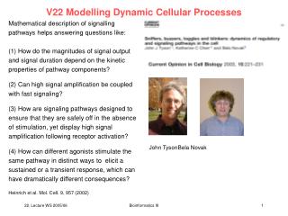 V22 Modelling Dynamic Cellular Processes