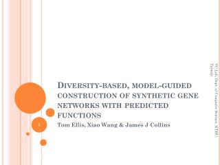 Diversity-based, model-guided construction of synthetic gene networks with predicted functions