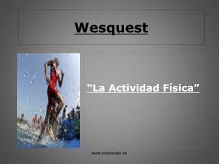 Wesquest