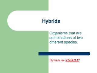 Hybrids