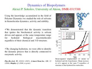 Dynamics of Biopolymers Alexei P. Sokolov, University of Akron, DMR-0315388