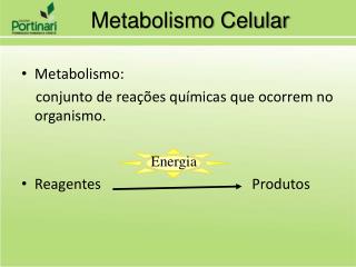 Metabolismo Celular