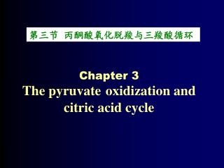 第三节 丙酮酸氧化脱羧与三羧酸循环