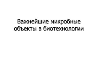 Важнейшие микробные объекты в биотехнологии