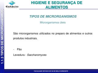 TIPOS DE MICRORGANISMOS Microrganismos úteis