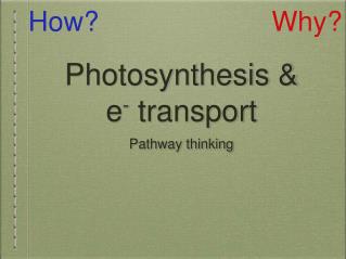 Photosynthesis &amp; e - transport