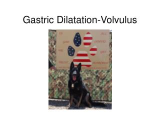 Gastric Dilatation-Volvulus