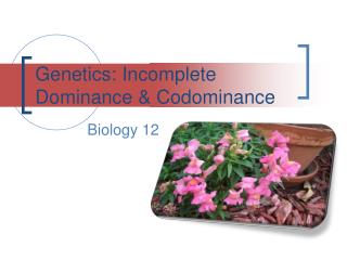 Genetics: Incomplete Dominance &amp; Codominance